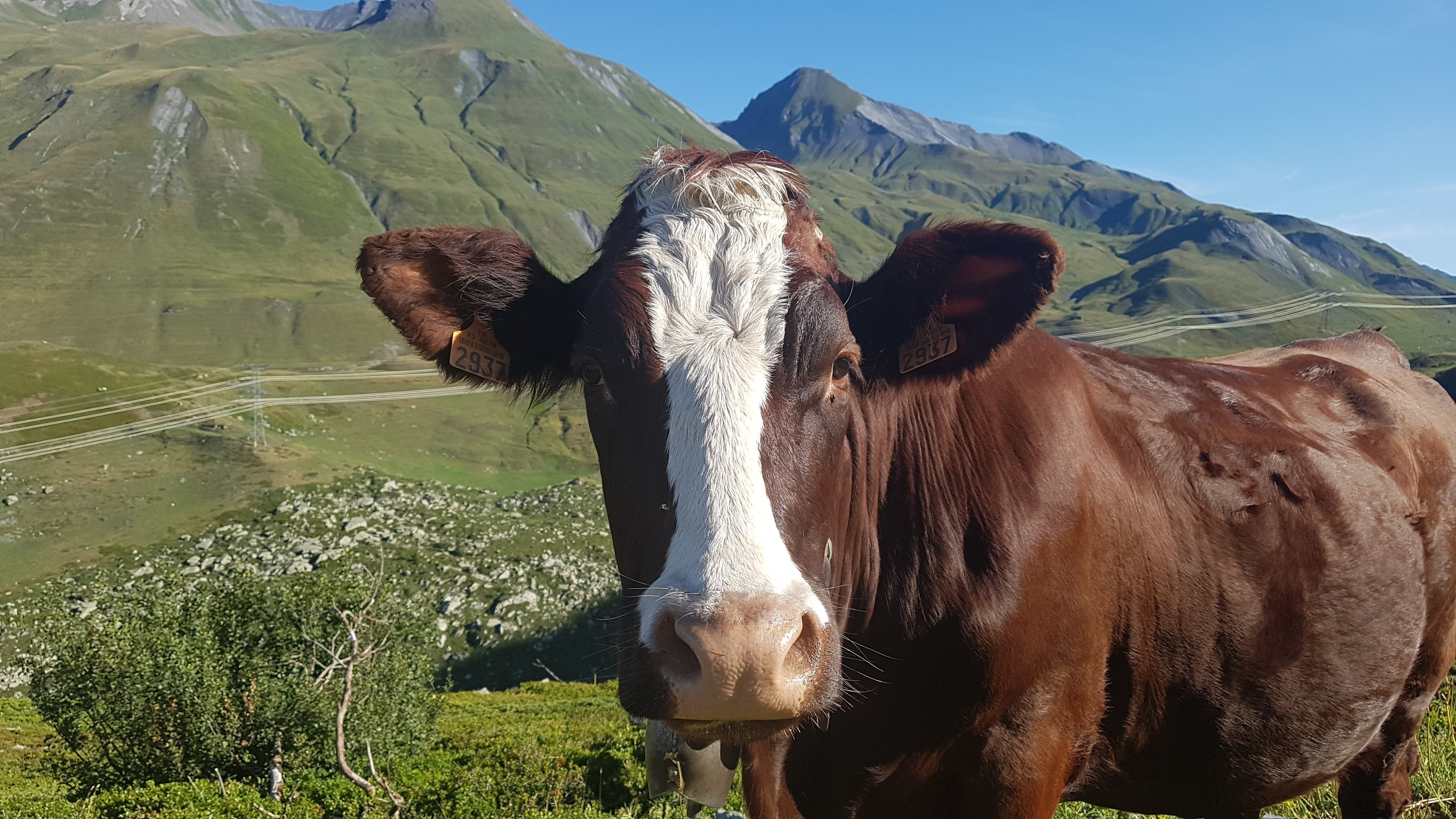 Photo n° 6 de l'avis de Julien.o fait le 14/02/2020 à 21:18