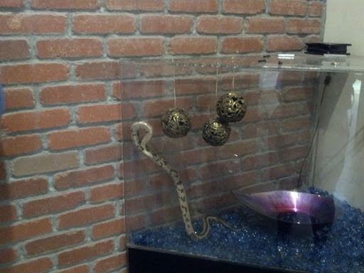 Zoo «Cheyenne Mountain Zoo», reviews and photos, 4250 Cheyenne Mountain Zoo Rd, Colorado Springs, CO 80906, USA