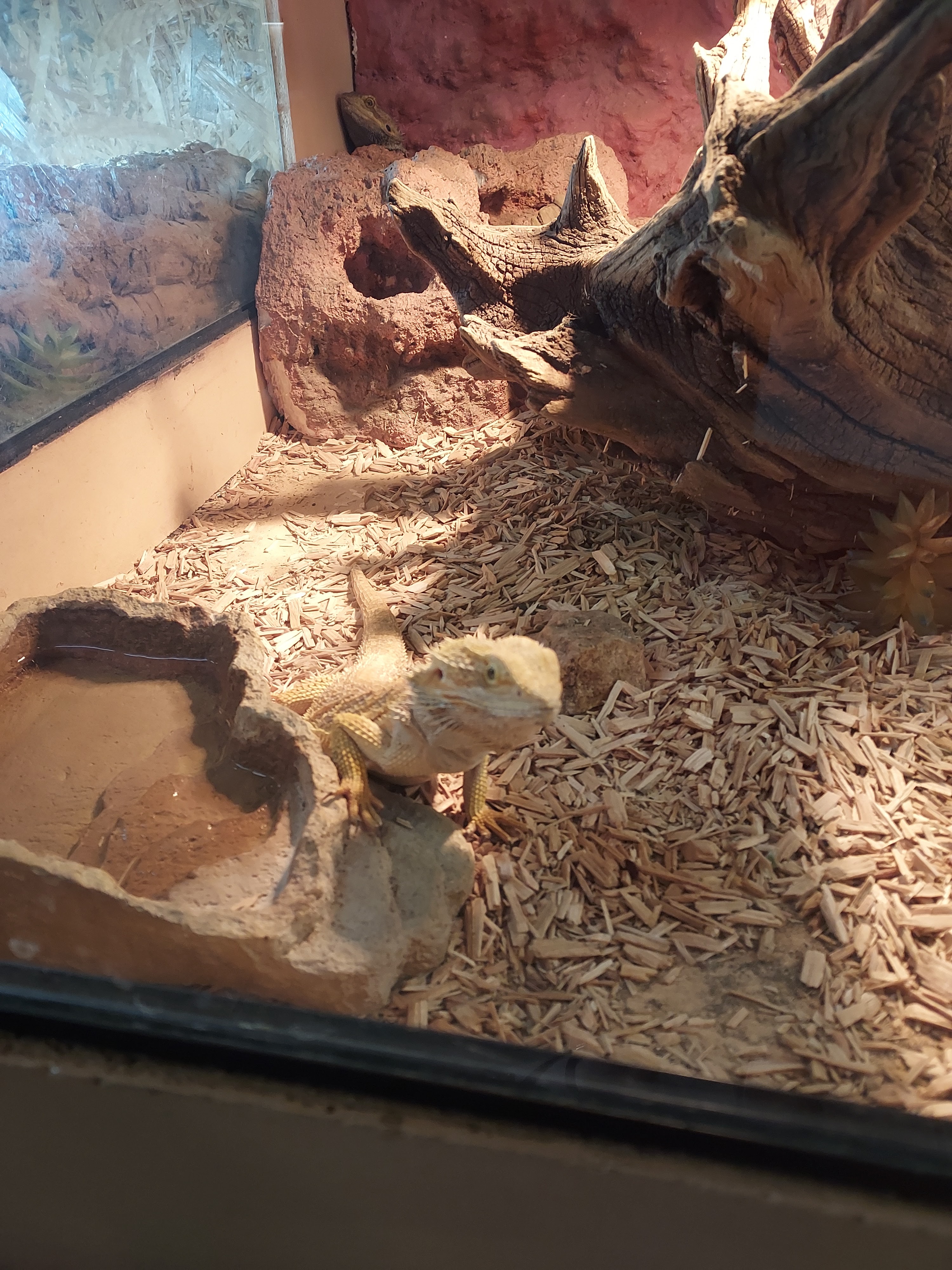 Photo n° 2 de l'avis de Lucie.e fait le 12/08/2023 à 14:54