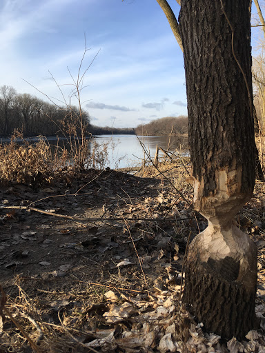 Nature Preserve «Crosby Farm Regional Park», reviews and photos, 2595 Crosby Farm Rd, St Paul, MN 55116, USA