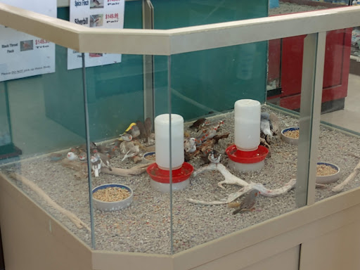 Pet Store «Pet Stop», reviews and photos, 6218 Nieman Rd, Shawnee, KS 66203, USA
