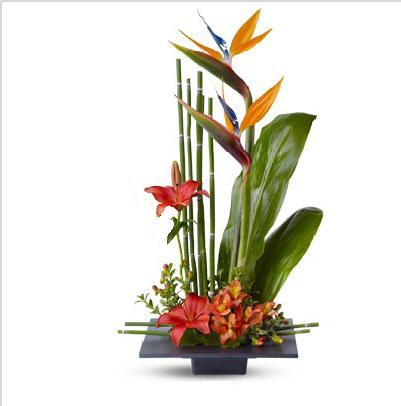 Florist «Pismo Beach Florist», reviews and photos, 695 Price St, Pismo Beach, CA 93449, USA