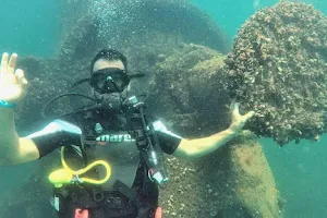 Rock Diving image