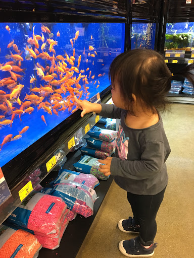 Pet Supply Store «PetSmart», reviews and photos, 17651 Colima Rd, City of Industry, CA 91748, USA