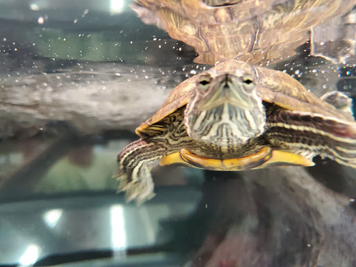 Pet Supply Store «Petco Animal Supplies», reviews and photos, 200 Center Blvd S, Christiana, DE 19702, USA