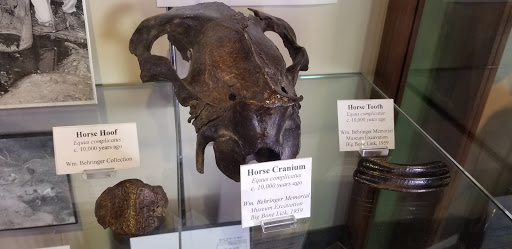 Museum «Behringer-Crawford Museum», reviews and photos, 1600 Montague Rd, Covington, KY 41011, USA