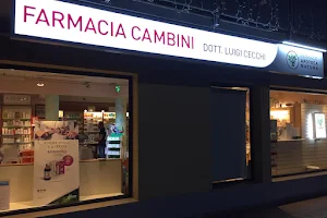 Farmacia Cambini - Apoteca Natura image