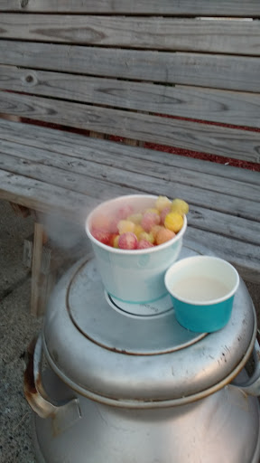 Ice Cream Shop «Nice Modern Creamery», reviews and photos, 31055 John R Rd, Madison Heights, MI 48071, USA