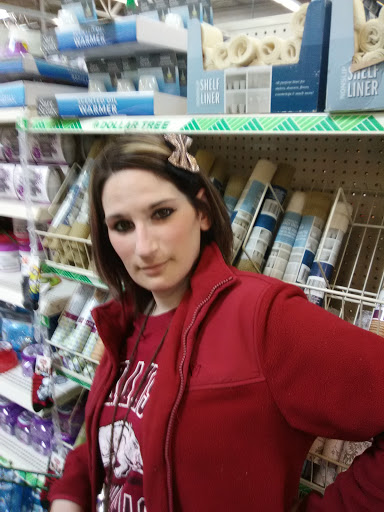 Dollar Store «Dollar Tree», reviews and photos, 740 Wal-Mart Access Rd, Monticello, AR 71655, USA