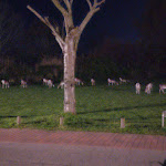 Photo n°23 de l'avis de Christian.e fait le 01/05/2024 à 07:26 sur le  Weissenhäuser Strand à Wangels