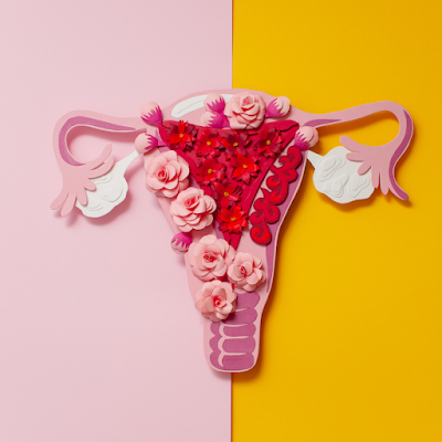 La Chirurgie des Femmes à Lille - Gynécologie à Lille