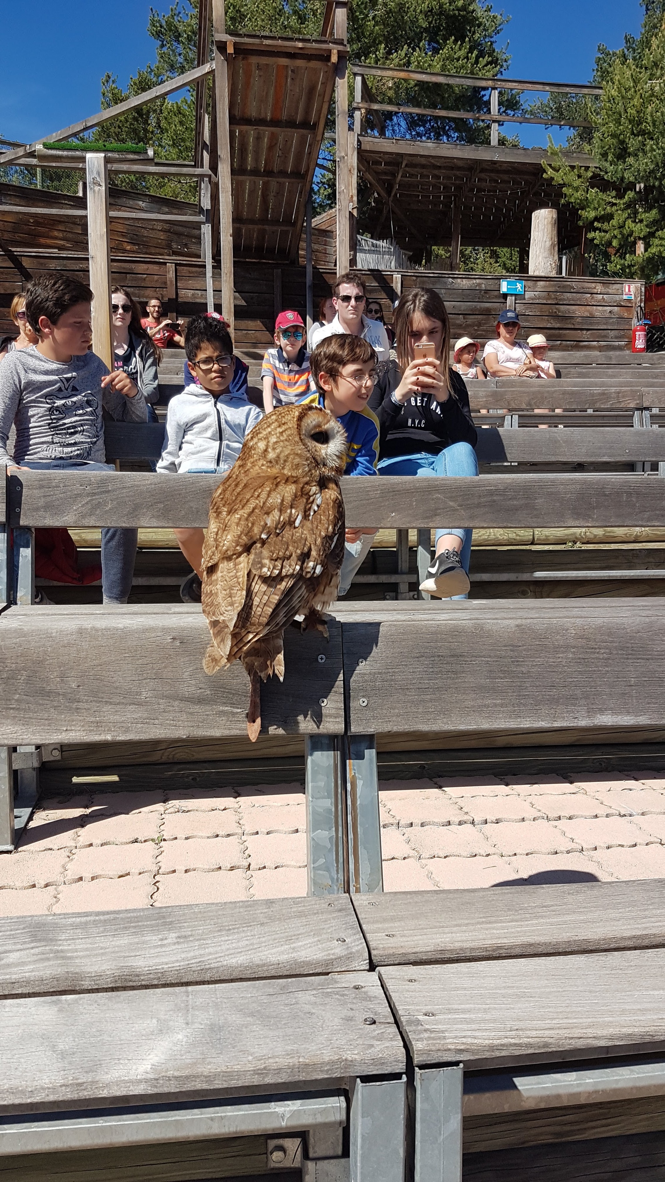 Photo n° 11 de l'avis de Maxence.o fait le 10/05/2018 à 07:26