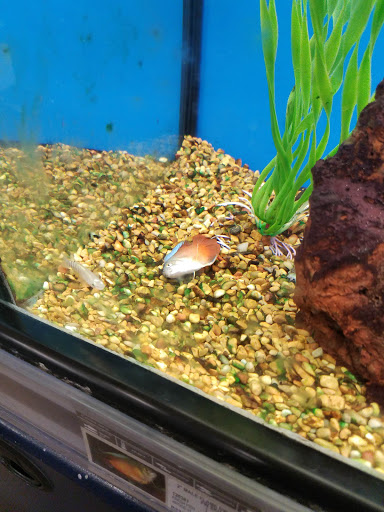 Pet Supply Store «Petco Animal Supplies», reviews and photos, 3637 2700 W, West Valley City, UT 84119, USA