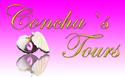 Concha's Tours