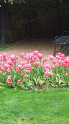 Bowling Alley «Rockville Centre Lanes», reviews and photos, 100 Maple Ave, Rockville Centre, NY 11570, USA