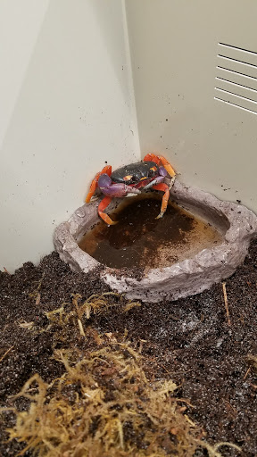 Pet Supply Store «Pet Supplies Plus», reviews and photos, 1137 Annapolis Rd, Odenton, MD 21113, USA