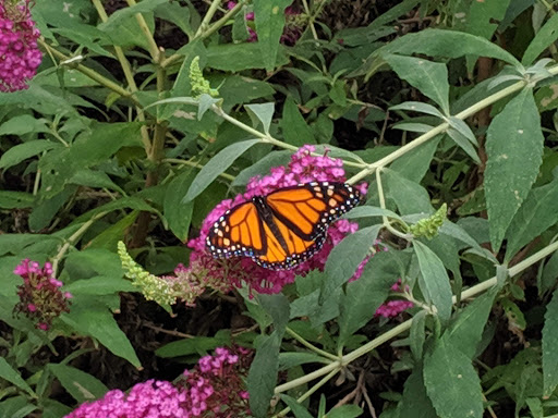 Tourist Attraction «OdySea Mirror Maze», reviews and photos, 9500 East Vía de Ventura #200, Scottsdale, AZ 85256, USA