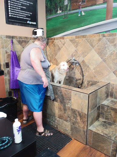 Pet Store «Pet Valu», reviews and photos, 1729 Quentin Rd, Lebanon, PA 17042, USA