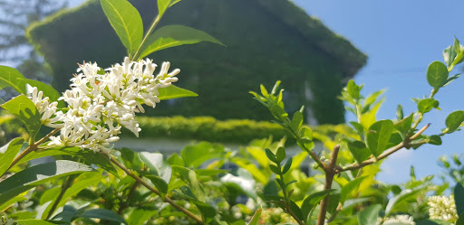 Park «Mack Park», reviews and photos, 31 Grove St, Salem, MA 01970, USA