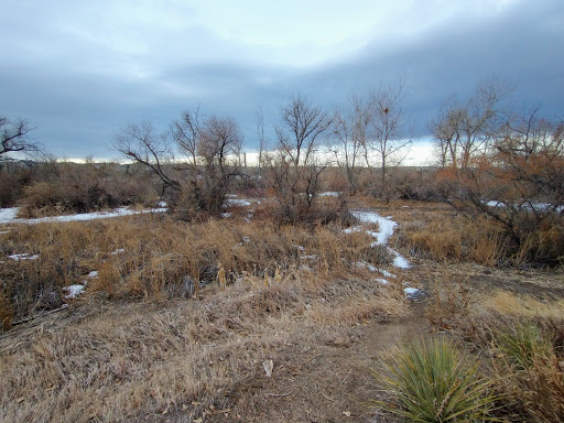 Park «Piney Creek Hollow Park», reviews and photos, 6140 S Tower Rd, Aurora, CO 80016, USA