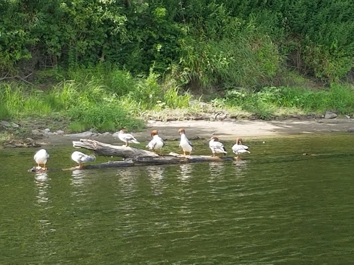 Camp «Adventure Sports», reviews and photos, 398 Seven Bridges Rd., East Stroudsburg, PA 18301, USA