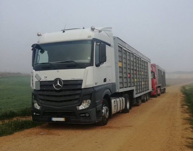 Avaliações doCpt II - Companhia Portuguesa de Transportes, Lda. em Azambuja - Serviço de transporte