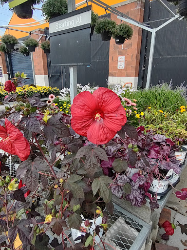 Home Improvement Store «The Home Depot», reviews and photos, 1155 High St, Wadsworth, OH 44281, USA