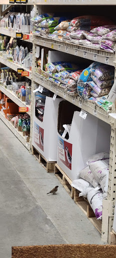 Home Improvement Store «The Home Depot», reviews and photos, 1062 Richard D Sailors Pkwy, Powder Springs, GA 30127, USA