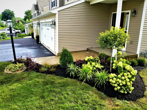 Bickford Landscaping, LLC image 3