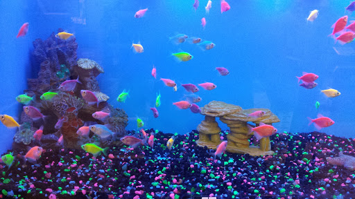 Pet Supply Store «PetSmart», reviews and photos, 4465 US-14, Crystal Lake, IL 60014, USA