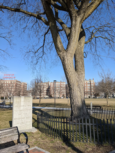 Park «Cambridge Common Park», reviews and photos, Waterhouse St & Massachusetts Ave, Cambridge, MA 02138, USA