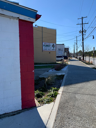 Florist «Minnesota Florist», reviews and photos, 4181 Minnesota Ave NE, Washington, DC 20019, USA