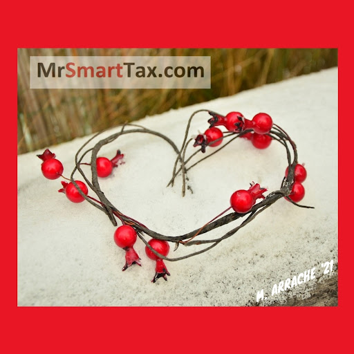 Mr. Smart Tax, Inc. image