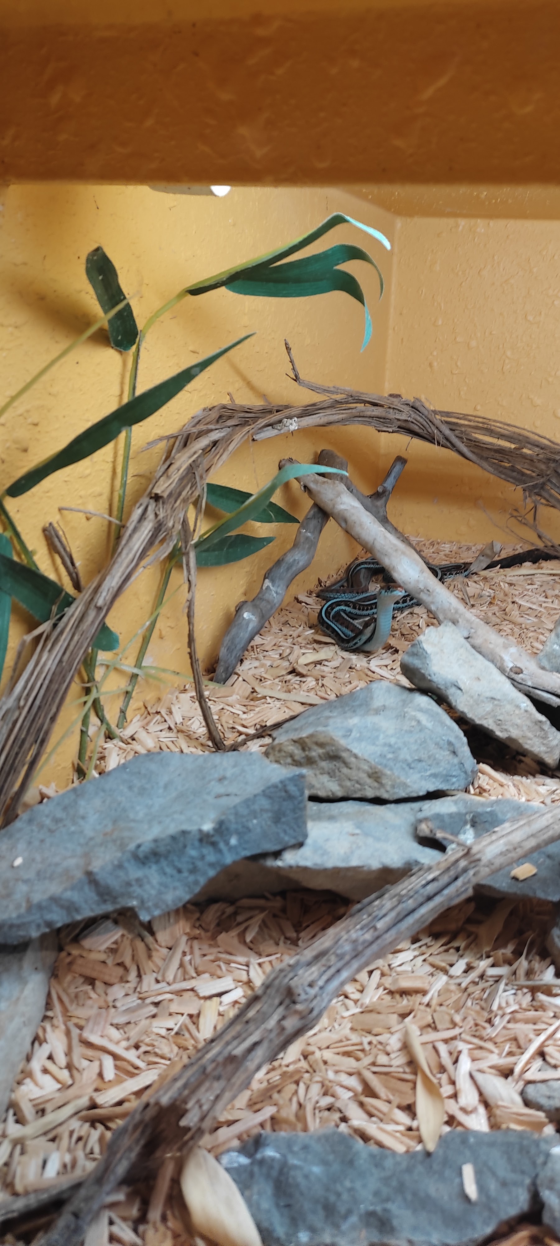 Photo n° 28 de l'avis de Astrid.i fait le 17/09/2021 à 13:14