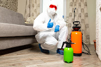 Revamped Pest Management - Photo 3 - Car repair in , Scottsdale
