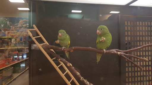 Pet Supply Store «PetSmart», reviews and photos, 6100 Arlington Blvd, Falls Church, VA 22044, USA