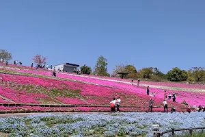 Ohta Hokubu Sports Park image