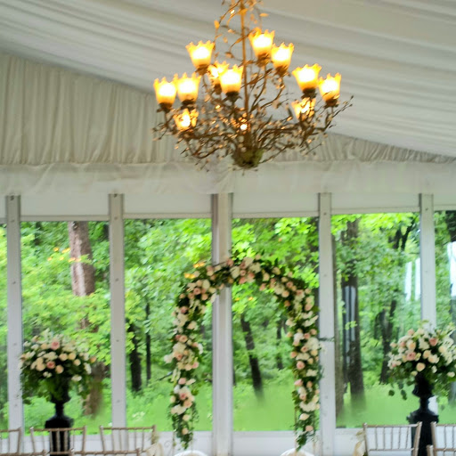 Florist «Walden Floral Design Co Inc», reviews and photos, 1701 Ogden Ave, Downers Grove, IL 60515, USA