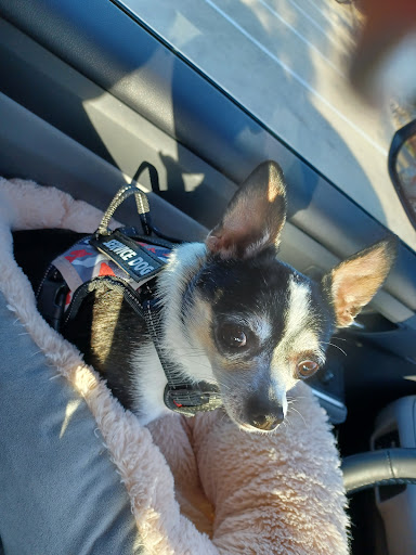 Pet Supply Store «Pet Supplies Plus», reviews and photos, 1031 Northwest Hwy, Garland, TX 75041, USA