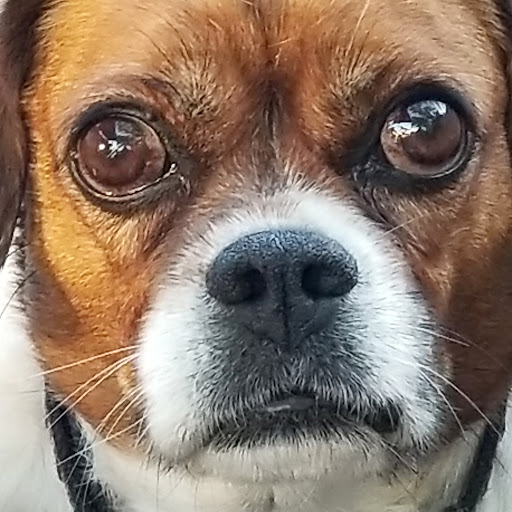 Plumber «Morgan Miller Plumbing», reviews and photos, 13911 Norby Rd, Grandview, MO 64030, USA