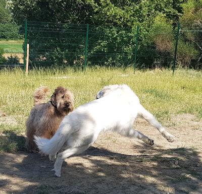 Gite canin La freydière à La Bégude-de-Mazenc