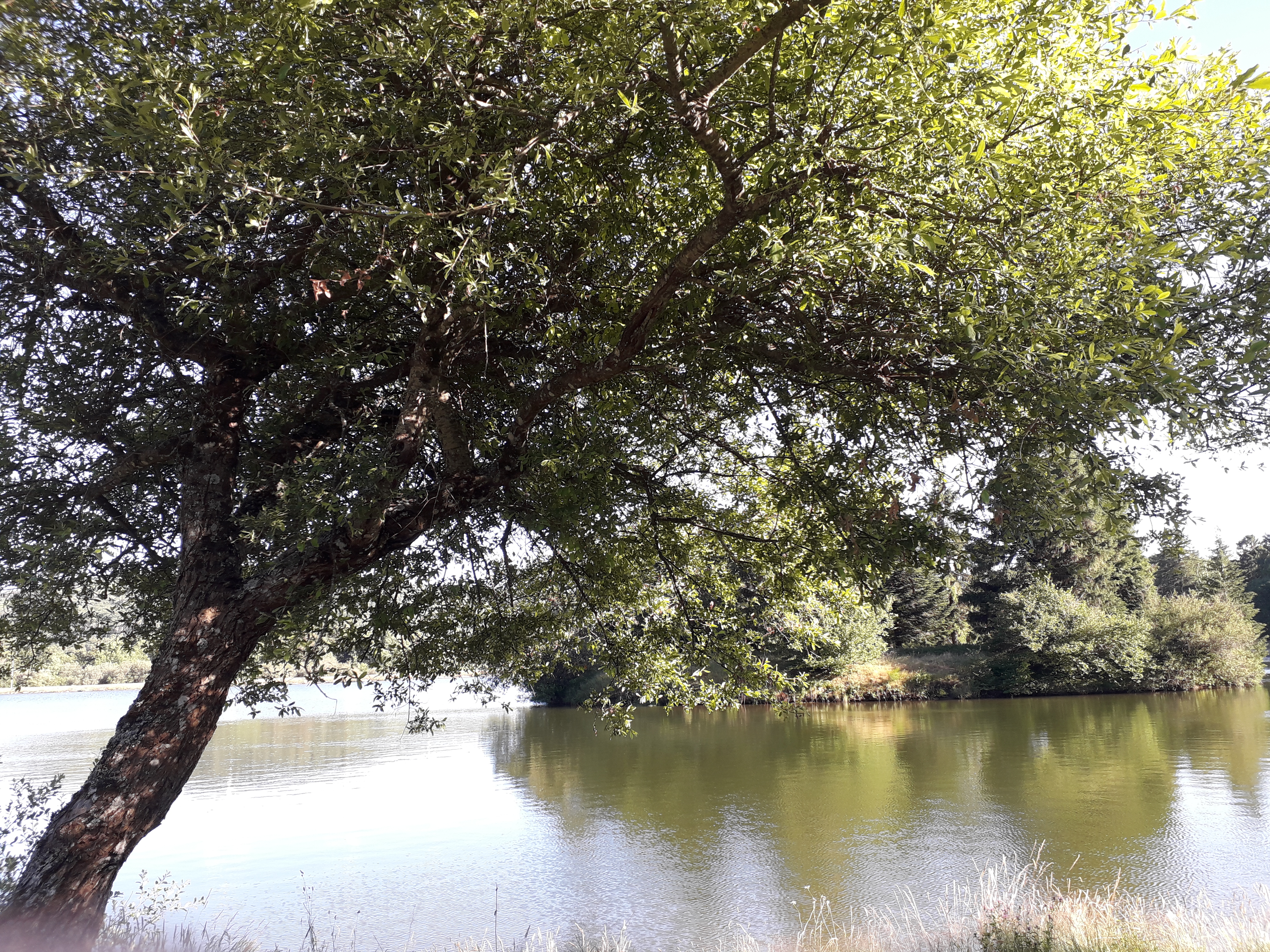 Photo n° 1 de l'avis de Marie.a fait le 13/07/2019 à 16:21