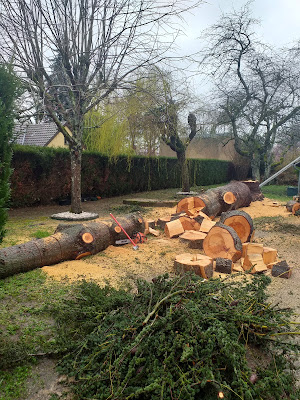 JARDIN ALEXIS JARDINIER PAYSAGISTE ELAGUEUR AUXERRE à Auxerre