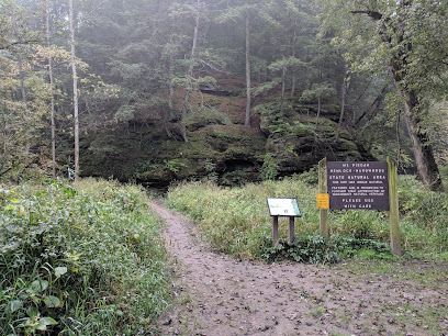Mount Pisgah Hemlock-Hardwoods State Natural Area