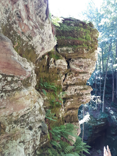 Nature Preserve «Fern Cliff Nature Preserve», reviews and photos, W County Rd 375 S, Greencastle, IN 46135, USA