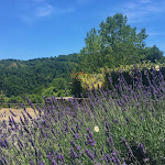 Photo n°4 de l'avis de Fernando.a fait le 27/06/2021 à 18:41 sur le  Agriturismo Ca' di Piaza à Monte San Pietro