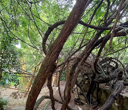 Jardín Botánico Faustino Miranda photo