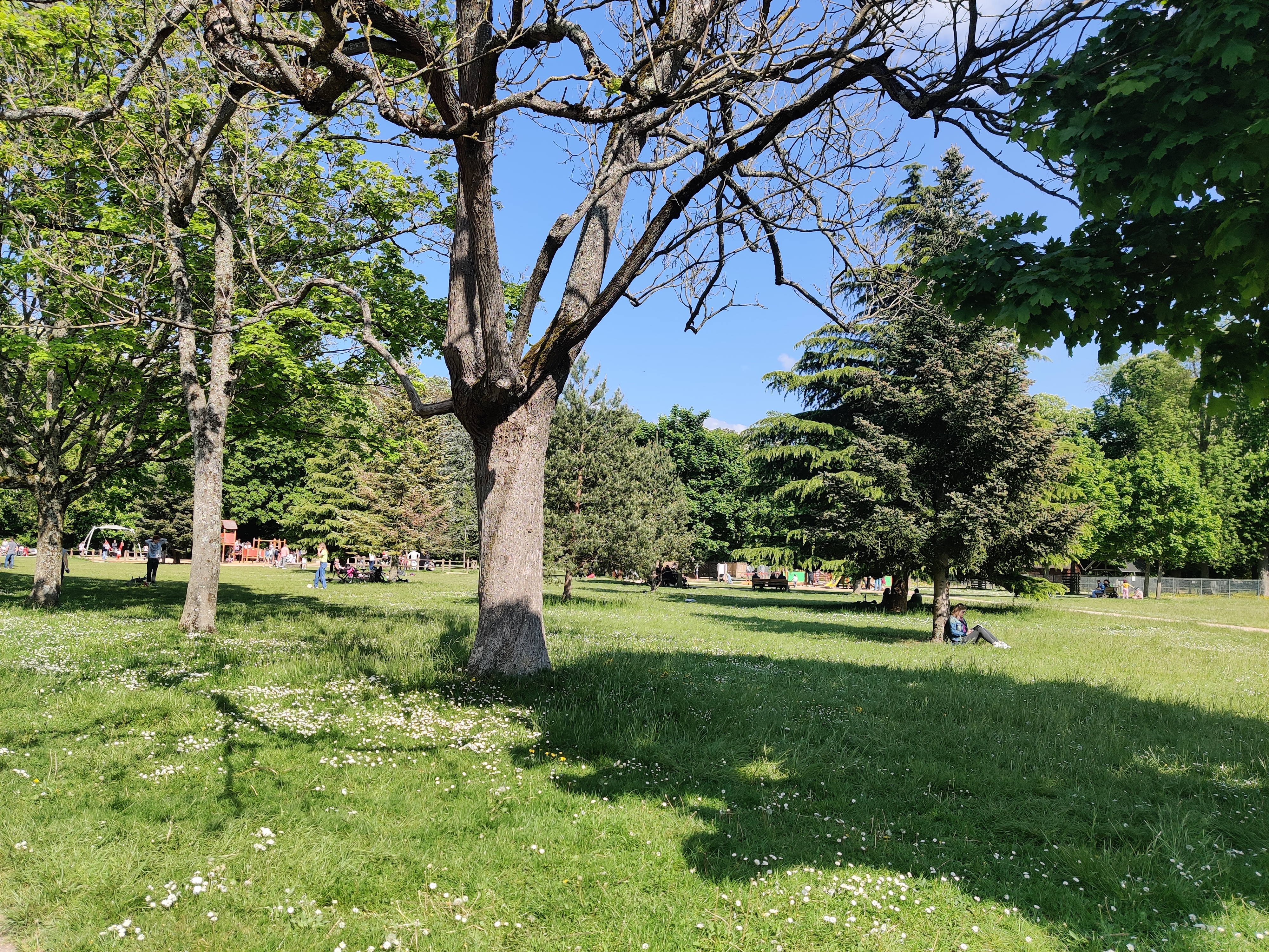 Photo n° 4 de l'avis de Carole.r fait le 01/05/2022 à 15:15