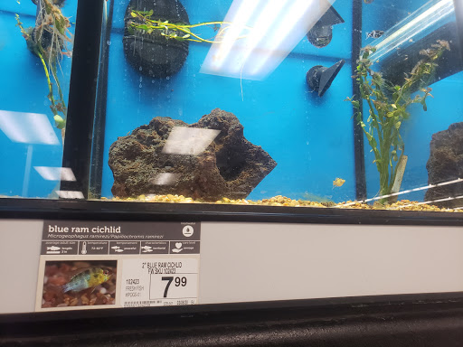 Pet Supply Store «Petco Animal Supplies», reviews and photos, 6761 Westminster Ave, Westminster, CA 92683, USA