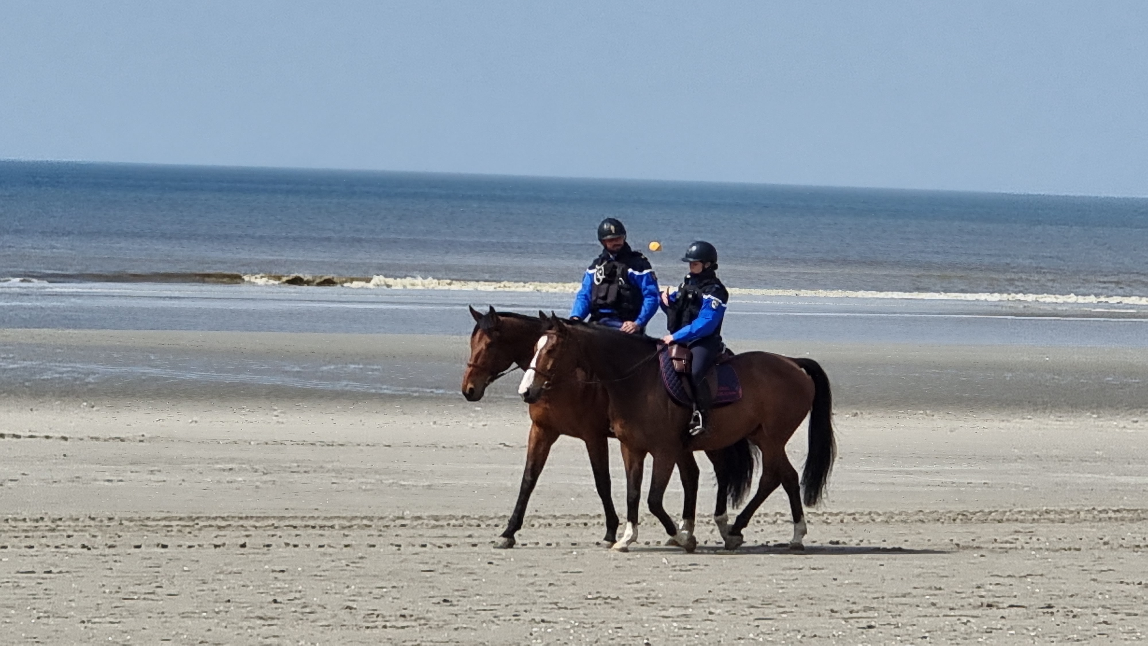 Photo n° 17 de l'avis de Anne.a fait le 25/04/2023 à 06:59